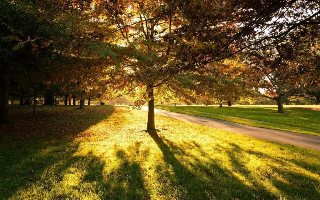 The Riccarton Hotel Christchurch Luaran gambar