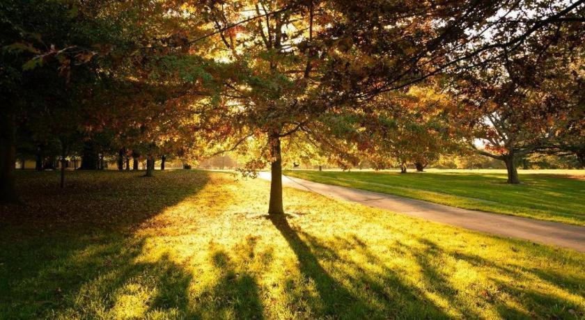 The Riccarton Hotel Christchurch Luaran gambar